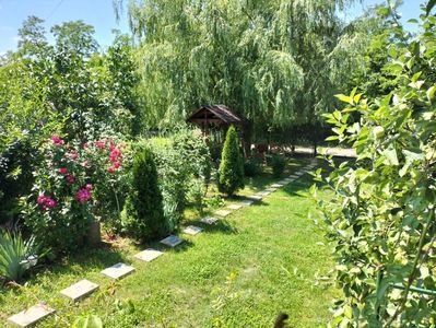 IMG20230630121541
