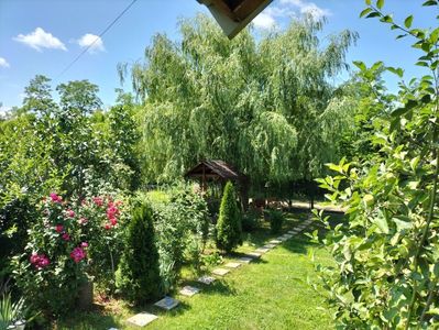 IMG20230630121538