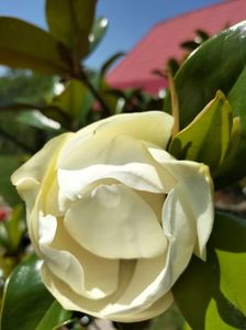 IMG20230701130847