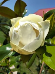 IMG20230701130835