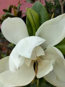 IMG20230702101634