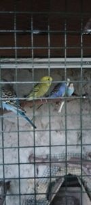 IMG20230701205611
