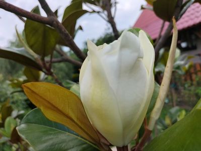 IMG20230704164039