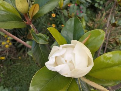 IMG20230704164031