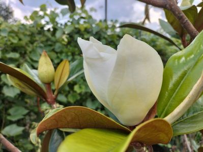 IMG20230704163909