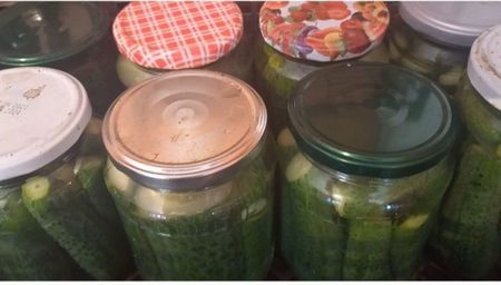 castraveti murati fara sterilizare, tin garantat cativa ani