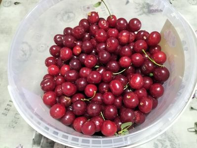 IMG20230705095710