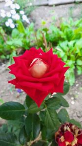 IMG-20230704-WA0020