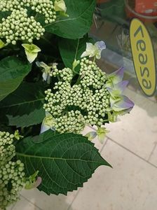 IMG20230630102457