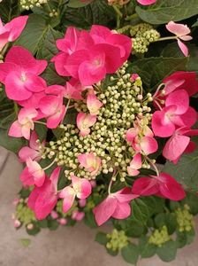 IMG20230630161547