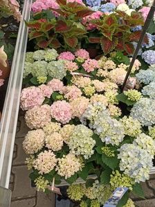 IMG20230701113544