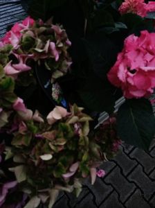 IMG20230701115250