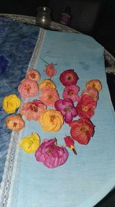 received_798744581828260