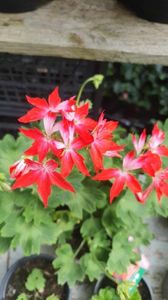 received_230221326607868