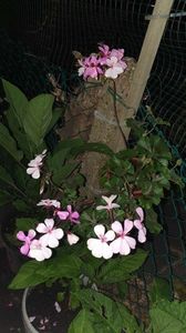 received_252815657500982