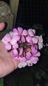 received_819159489916112