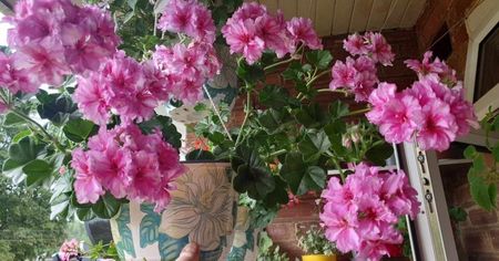 received_560376909422778