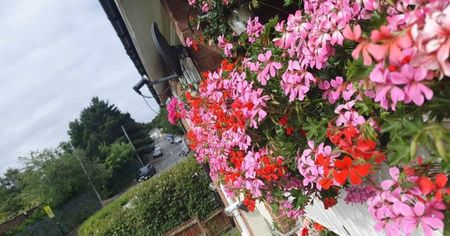 received_659846338922951