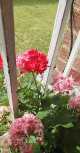 received_286428150590279