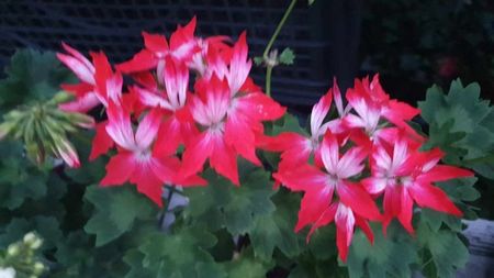 received_998274677845498