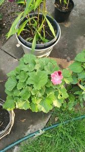 received_1394087554486298