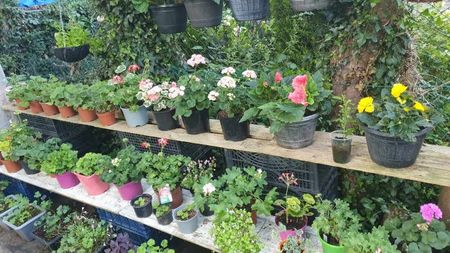 received_994187008420301