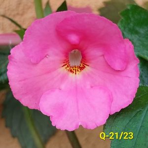 IMG-20230629