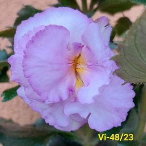 IMG-20230630