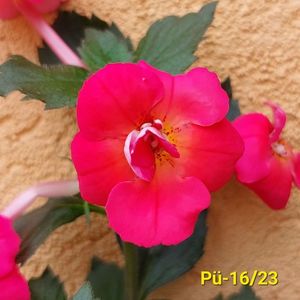 Img-2023.07.02