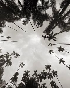 hálitos de la naturaleza