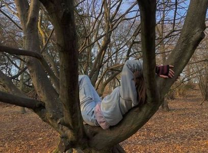On a bare branch a lapwing iṥ perched