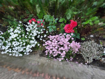 ©; P3530428
