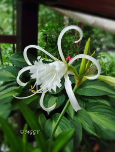 ©; P3530290
