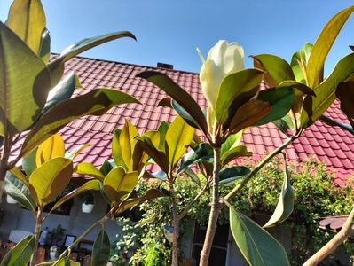 IMG20230715171839