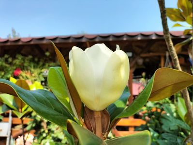 IMG20230717145216