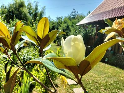 IMG20230718162119