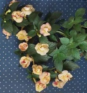 I-am furat inimioara lui Naty! ;); RFs Tropicana ❤️❤️❤️
