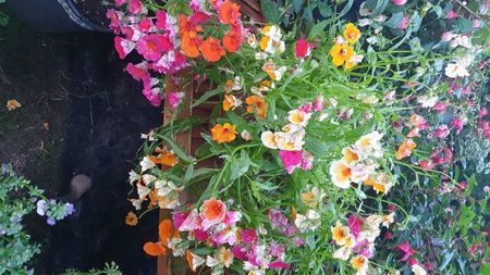 IMG-20230725-WA0085