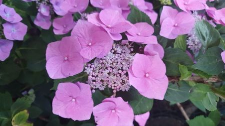 IMG-20230725-WA0091