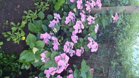 IMG-20230725-WA0089