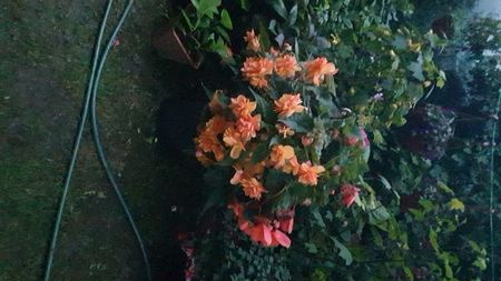 IMG-20230728-WA0065