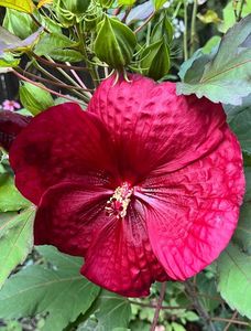 D7FDD798-069C-4D85-8F3D-E91646EF8DCF