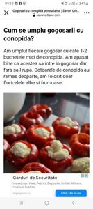 Screenshot_20230731_091058_Facebook