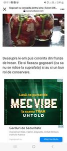 Screenshot_20230731_091117_Facebook