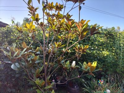 IMG20230716081152