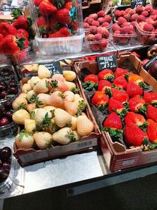 IMG20230307110511