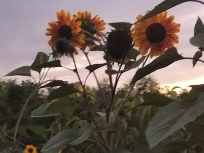 IMG20230811205748