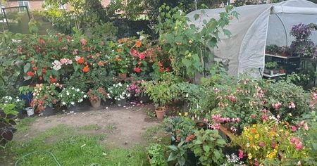 received_961804198225505