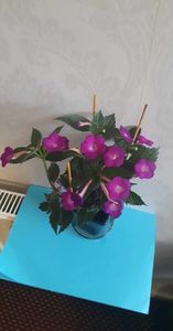received_589282276740613
