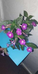 received_250401124500429